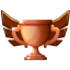 Bronze Medal